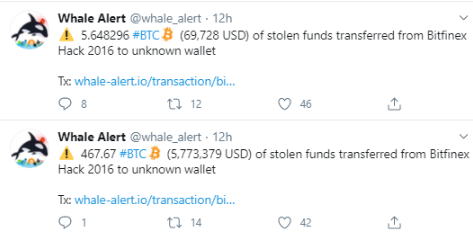 screen z Tweeter z tweetami Whale Alert