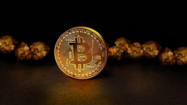 Zdjęcie monety z logiem bitcoina