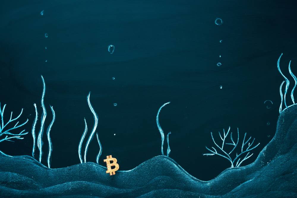 bitcoin dno