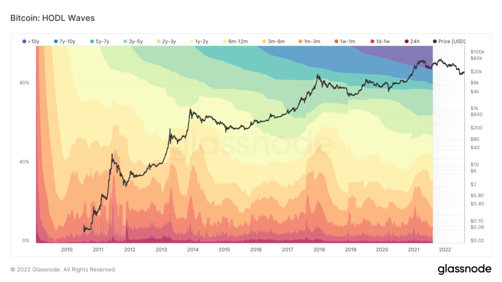 Fale HODL Bitcoina i wykres jego wartości