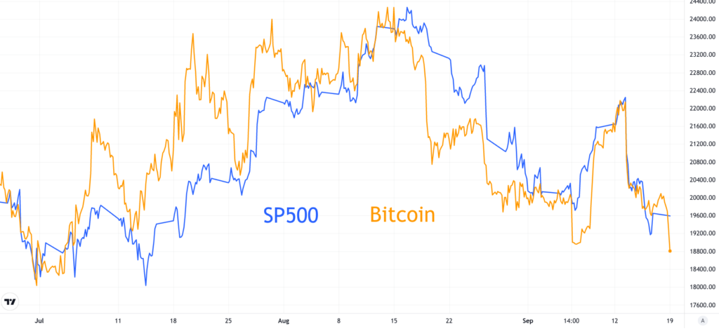 screen przedstawiający wykres notowań Bitcoin i indeksu S&P500